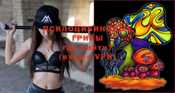 a pvp Абаза