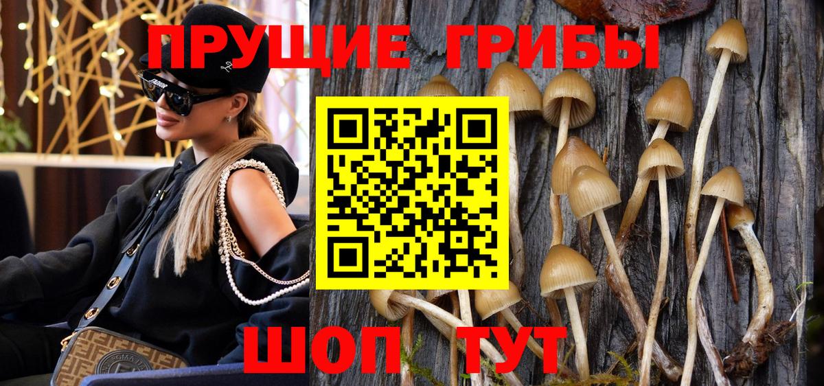Галлюциногенные грибы Psilocybe  Галлюциногенные грибы мухоморы  Вход с VPN  Отрадное 