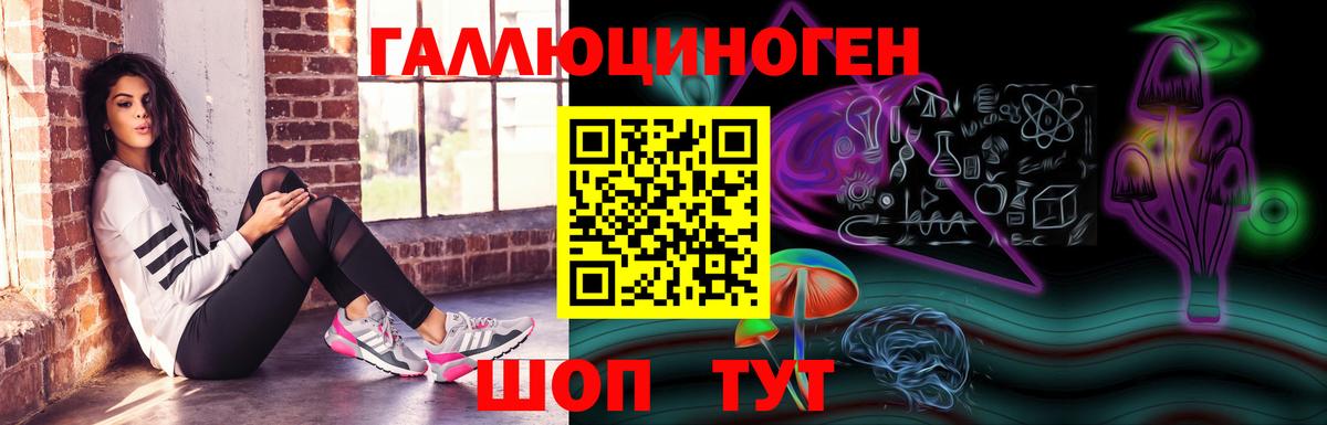 Галлюциногенные грибы MAGIC MUSHROOMS  Псилоцибиновые грибы Psilocybe  Отрадное  Вход с VPN 