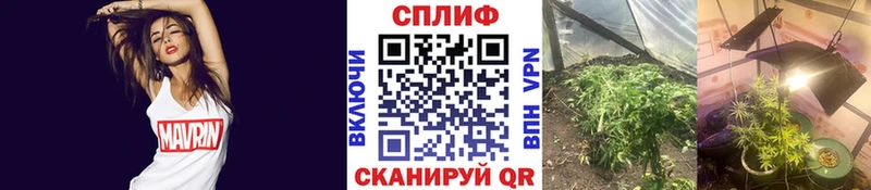 Бошки марихуана VHQ наркотики Отрадное